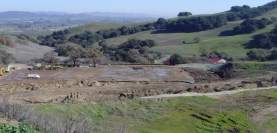 Graded site for Carneros Vintners. Click image to enlarge. Photo Copyright 2009, Wine Industry Insight.