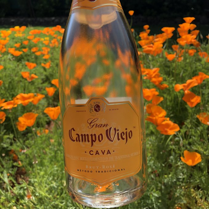 CampoVeijo