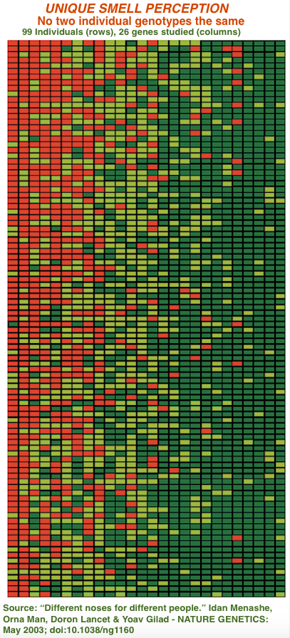 DifferentNosesForDifferentPeople