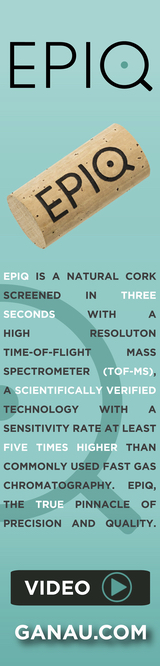 epic AD final