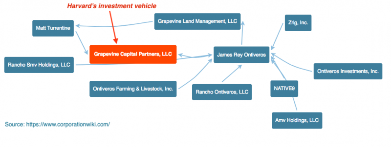 GrapevineCapitalPartners