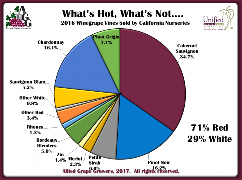 HotGrapes-2016