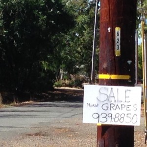 MerlotForSale