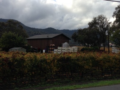 North Point Winery southwest of Yountville. Lawsuit by Patio Wine and Robert Dahl says it was inappropriately named in lawsuit by Lexington Street Investments. Right-click image to enlarge.
