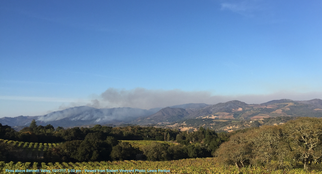 Fires above Bennett Valley, 10/17/17, 5:03 pm - Viewed from Siebert Vineyard Photo: Lewis Perdue - Right-click photo to view a larger image
