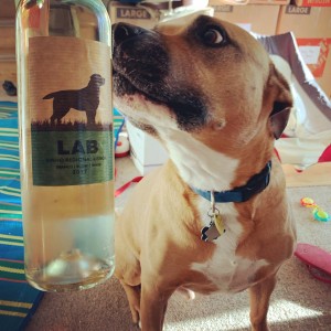 lab wine