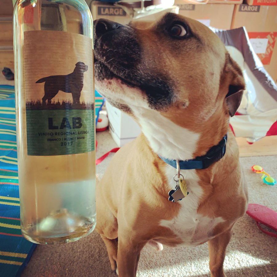 lab wine