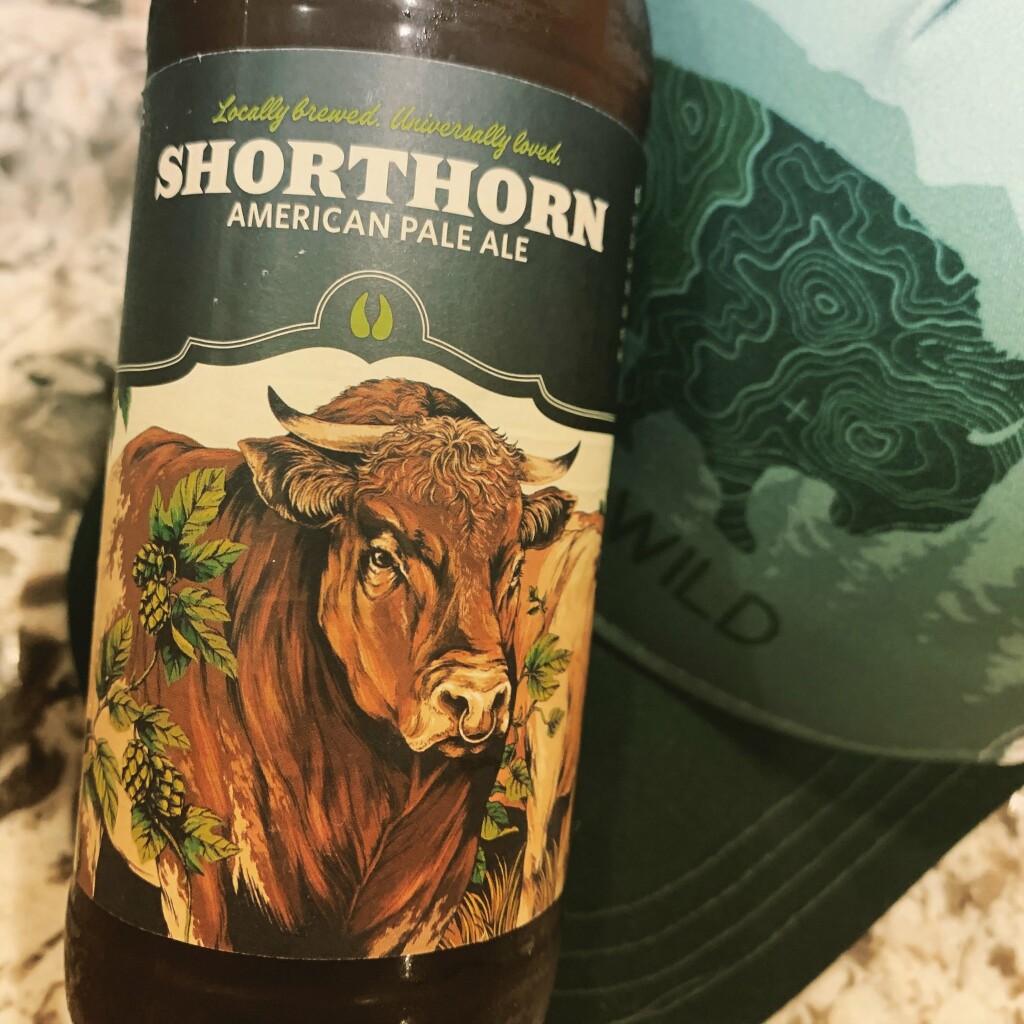 shorthorn